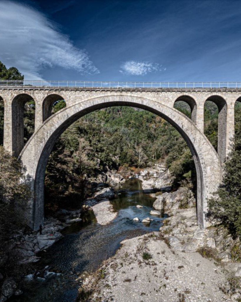 Photo drone en nature